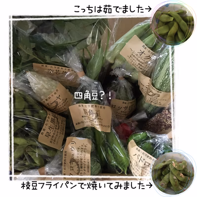 みんなの投稿の画像