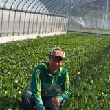 谷 紀彦 | sikisikifarm