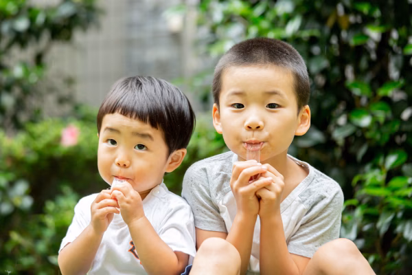 大人気！お得◎【岩手県産】あかしあ スティックばら売りタイプ　100本