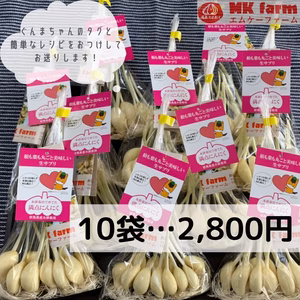 お得な群馬県産満点にんにく（発芽にんにく）100本セット