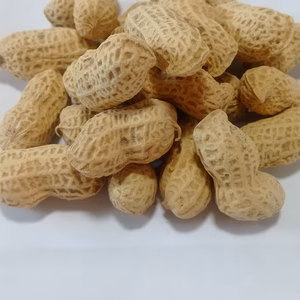 美味しい煎りたて落花生(令和3年11月2日焙煎です。)