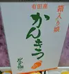 【女性人気】プチプチ果肉とスッキリした甘味 (春峰)