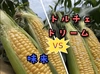 あなたはどっち派??味来PREMIUMvsドルチェドリーム 食べ比べセット