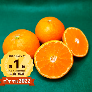 完熟小粒みかん　濃厚、薄皮、甘い、おいしい　小粒みかん