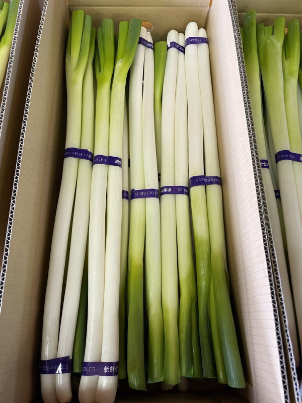 北海道十勝清水産　ネギ 3kg