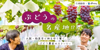ぶどうの名産地！？　大阪・柏原市で畑を守り繋ぐ、ぶどう農家のストーリー