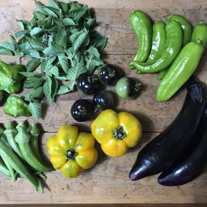 Cool便ver.夏の土の子野菜セット第2弾【農薬、化学肥料不使用】