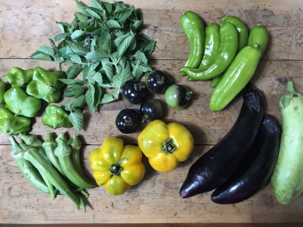 Cool便ver.夏の土の子野菜セット第2弾【農薬、化学肥料不使用】