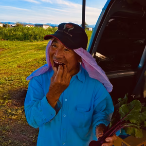 ビーツ丸かじりですか？はい！喜んで！？