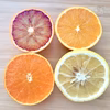 旬の柑橘4種セット+おまけ