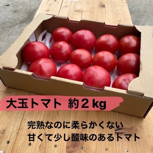 超完熟！とってもおいしい普通のトマト水耕栽培トマト！2kg
