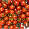 【川上農園】AS-356 ミニトマト 1kg 茨城県産 酸味と甘みのバランス◎