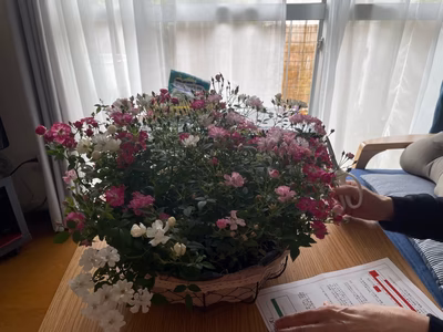 みんなの投稿の画像