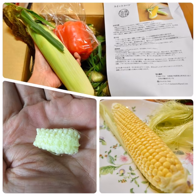 みんなの投稿の画像