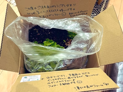 みんなの投稿の画像