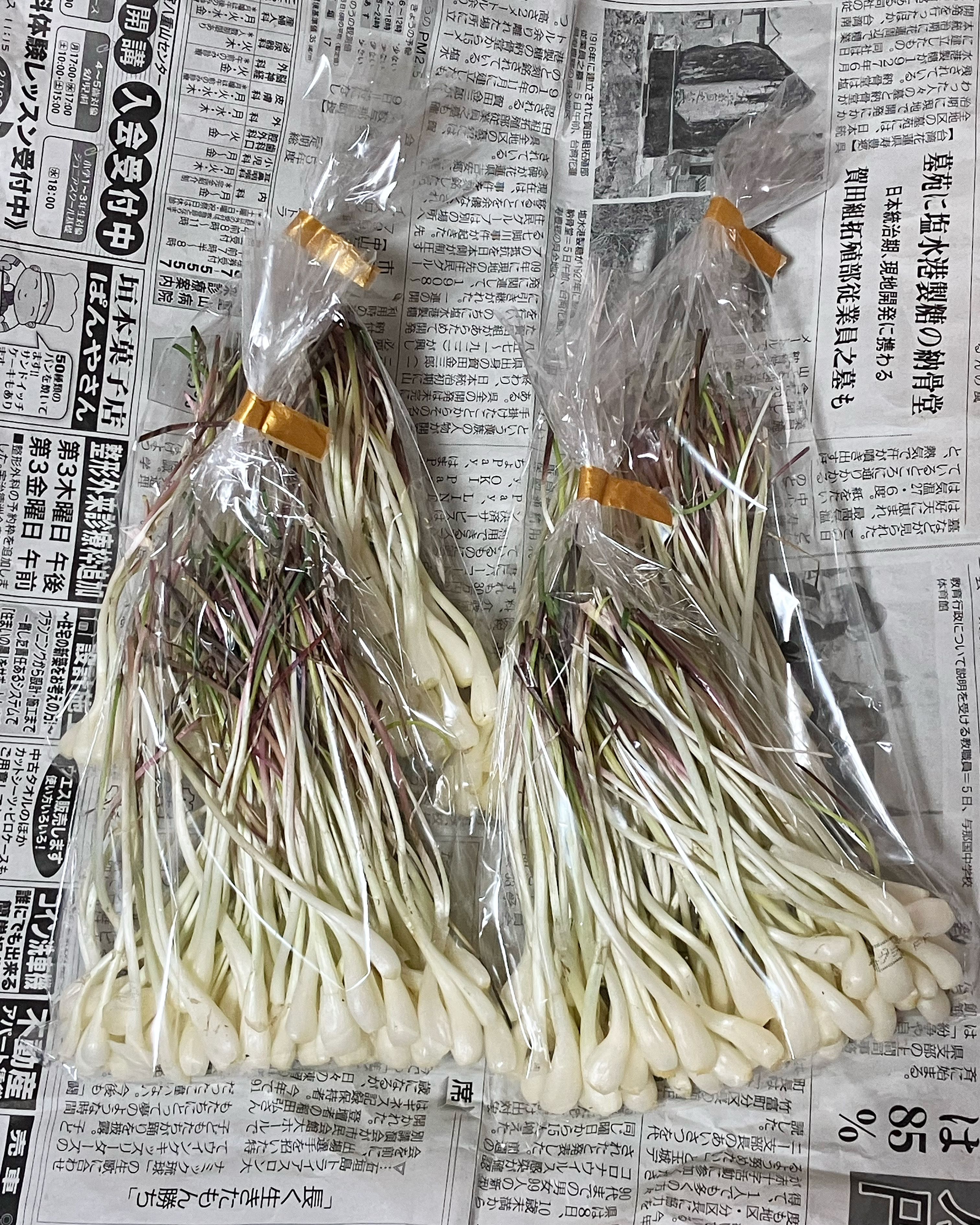 石垣島産】【送料込】【皮剥き済】島らっきょ500g【常備野菜の仲間入