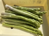 ★特別大特価★【期間限定】2kg 朝採れ 訳あり 鶴喰アスパラガス(春芽) 