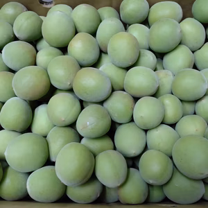 和歌山　南高　青梅　３kg