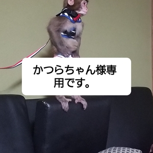 かつらちゃん様専用です。