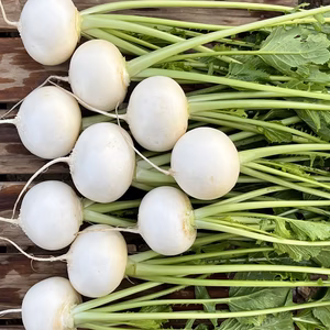 [生で食べれる！] フルーツみたいなサラダかぶ