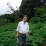 上島国澄