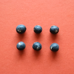 【訳あり丹波黒大豆　２００g】皮の破れやシワがあっても、味は丹波黒！