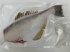【玄界灘産】【天然】【高級魚】お刺身鮮度の冷凍真鯛＆肉厚ウスバハギセット