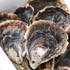 特別価格！濃厚大ぶり『岩牡蠣』Lサイズ生食用 五島列島の岩牡蠣