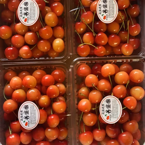 大特価！冷凍3kgパイ、ドライフルーツ　ジャム用にも