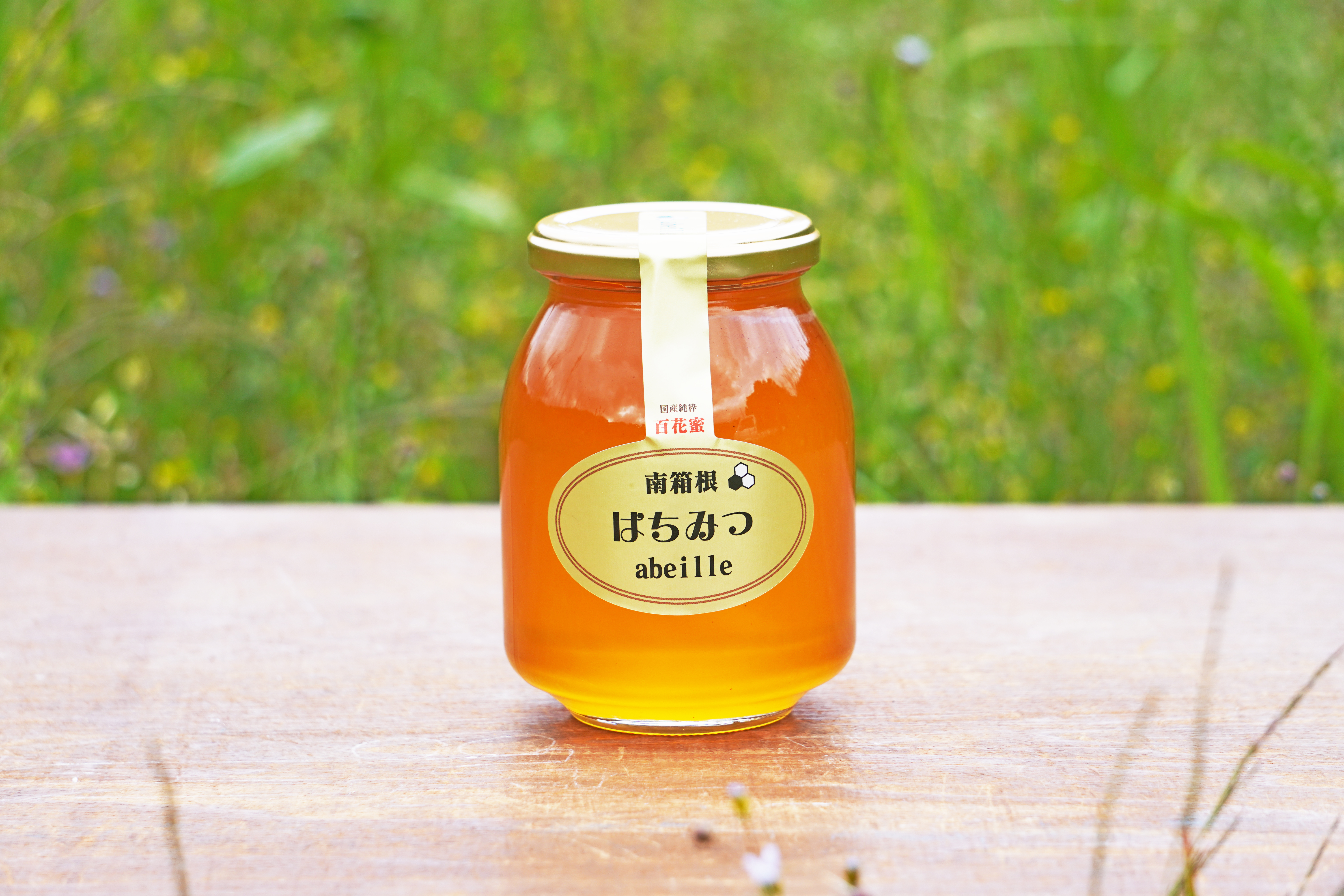 2025年採蜜した非加熱のはちみつ 500g瓶詰めタイプ｜蜂蜜の商品
