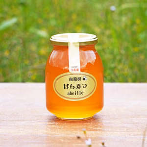 2025年採蜜した非加熱のはちみつ　500ｇ瓶詰めタイプ