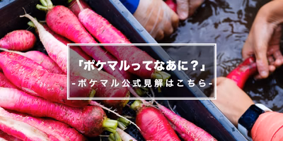 高橋博之とは？ポケットマルシェとは？はじめての方にご説明します！