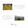 新潟県産コシヒカリ,和泉,10kg,令和7年新米,【受注後精米・農家直送】