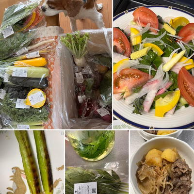 みんなの投稿の画像