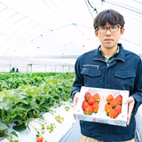 蘭 莞爾 | らんらんふぁーむ