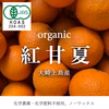 【有機JAS認証】オーガニック紅甘夏　4キロ