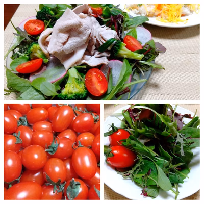 みんなの投稿の画像