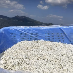 １０月５日獲れたて釜揚げちりめん！１５時まで受け付け予定！