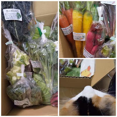 みんなの投稿の画像