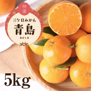 三ケ日濃厚熟みかん「青島」5kg(S～LLサイズ)