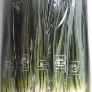 壱岐の島の有機(JAS)ねぎ