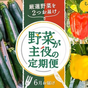 厳選野菜を2つお届け「野菜が主役の定期便」