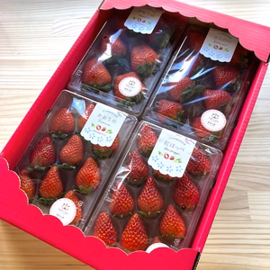 食べ比べセット♡秋吉台のミネラルたっぷり!! Agri charｍいちご♡