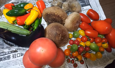 みんなの投稿の画像