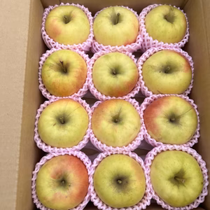 タイムセール❗️3キロ　ぐんま名月10個〜12個入り