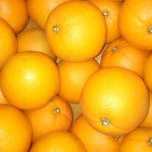 広島産柑橘三種 ネーブルとポンカンとレモン合計 5kg 