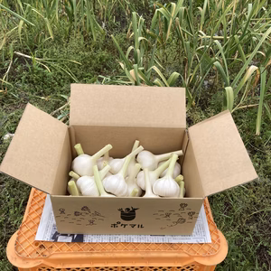 【ポケ段発送】和歌山県橋本市産　フレッシュにんにく