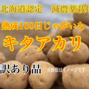 《厳冬期限定！》減農薬栽培 じゃがいも【熟成100日キタアカリ　 訳あり品】