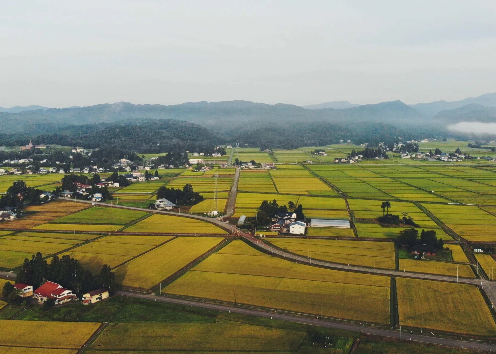 【新米はえぬき 精米】【令和5年秋収穫】山形県置賜飯豊産　特A23回
