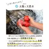 ハウス桃太郎トマト 山梨のミネラル豊富な天然水と日本一の日照量で大切に育てました